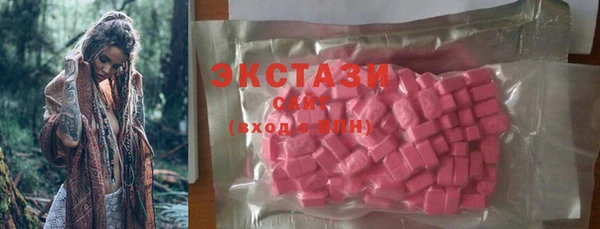 хмурый Аркадак