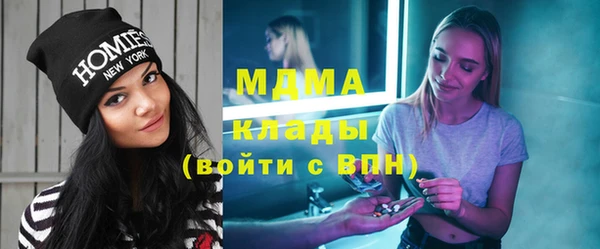 хмурый Аркадак