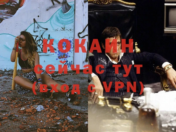 хмурый Аркадак