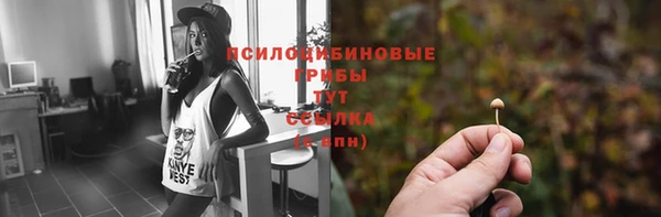 хмурый Аркадак
