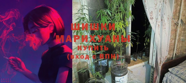 экстази Арсеньев