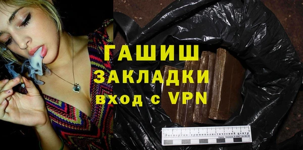 хмурый Аркадак