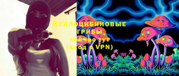 экстази Арсеньев