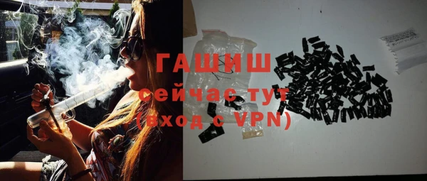 хмурый Аркадак