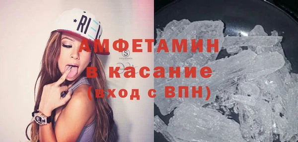 хмурый Аркадак