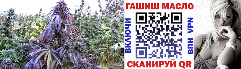 ТГК концентрат  Барабинск 