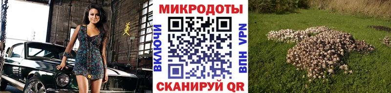 Галлюциногенные грибы прущие грибы Барабинск